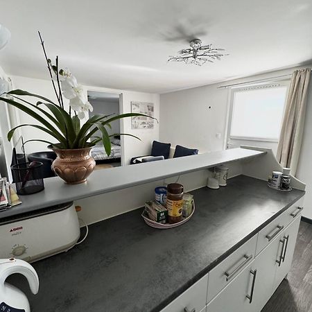 Appartement Detox Au Pied Du Semnoz เซย์นูด์ ภายนอก รูปภาพ
