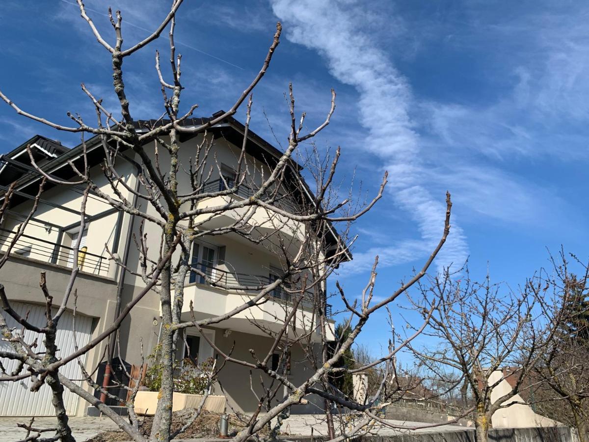 Appartement Detox Au Pied Du Semnoz เซย์นูด์ ภายนอก รูปภาพ